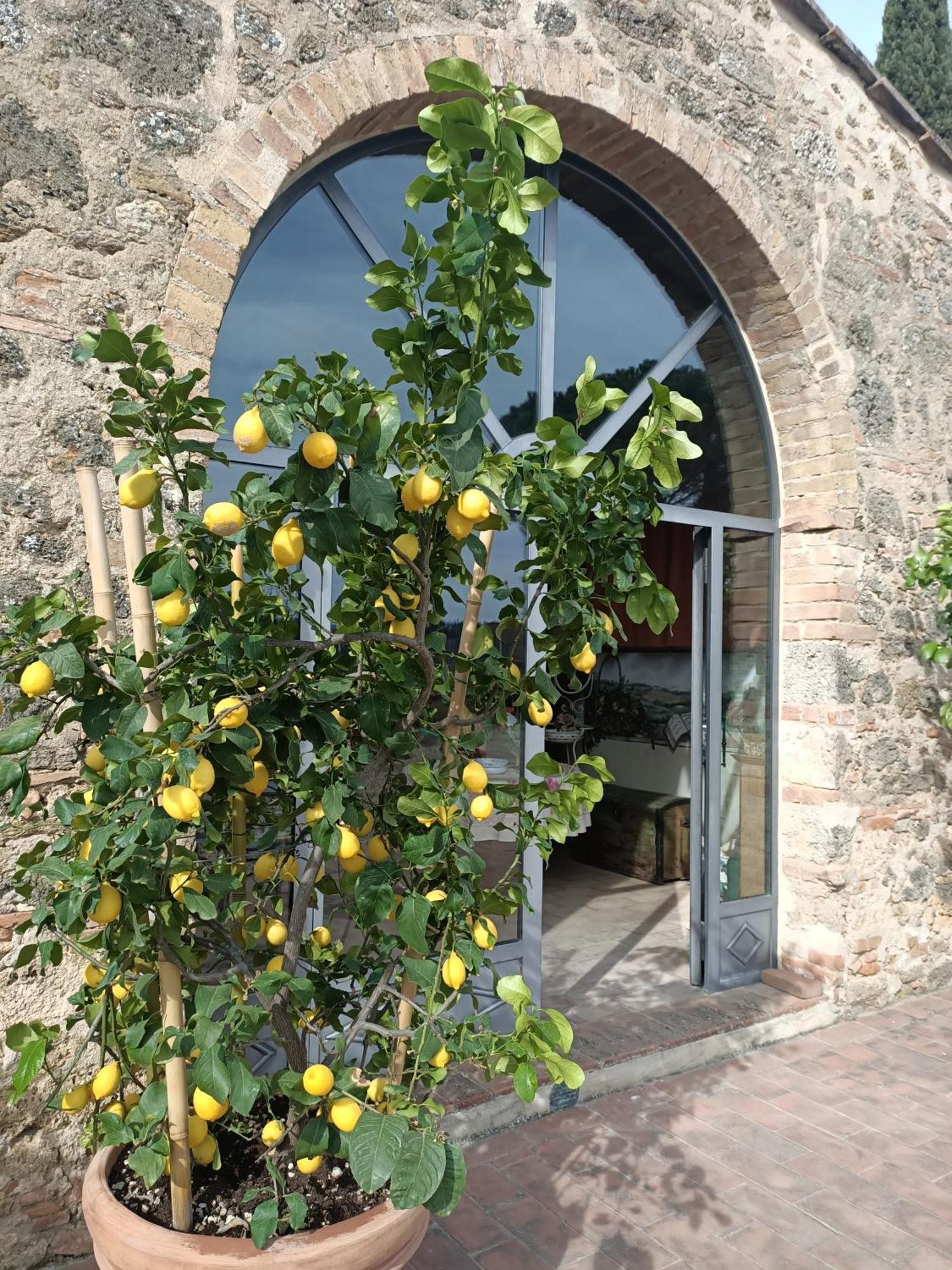 Relais Antico Borgo San Lorenzo Poggibonsi Exterior foto